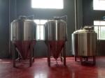 Craft Beer Home Microbrewery Equipment Stainless Steel 304 / 316 Material