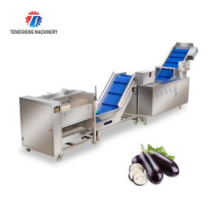 Multifunctional Vegetable And Fruit Processing Line Hair Roller Bubble Cleaning