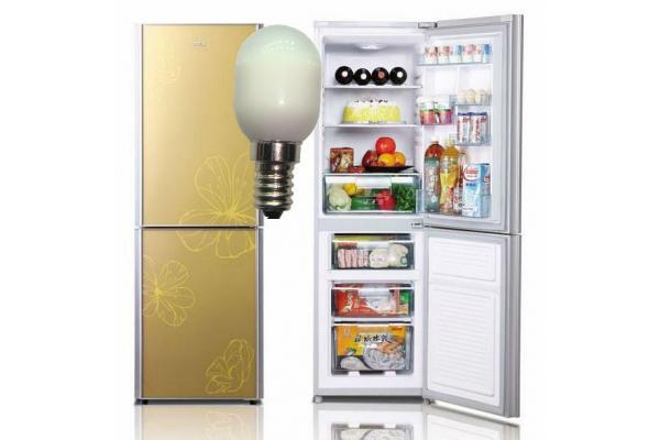 Fridge Bulb