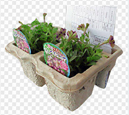 Automatic Reciprocating Paper Pulp Egg Carton Machinery for Egg Tray / Cup