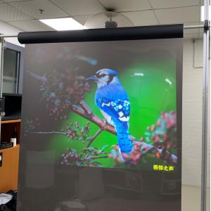 Holographic Projection Screen Film , Rear Projection Film For Glass For Window