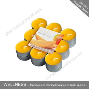 Small Different Color Soy Home Scented Candles Plastic Bag Packaging , Long