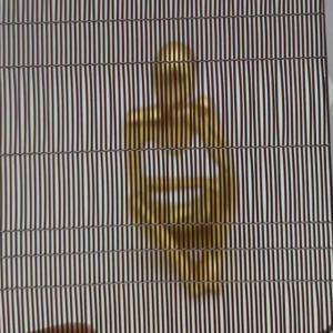 1-2m Width Glass Laminated Wire Mesh Red Color Decorative Switch