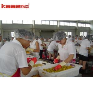 Wholesale Canned Food Pear Strawberry And Vegetables Making Machine Production Line from china suppliers