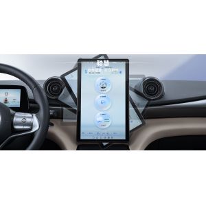 BYD 2025 Dolphin 520km Knight Edition EV