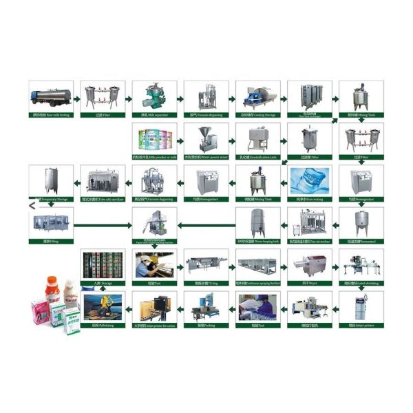 Full Automatic 1000L/H Milk Dairy Production Project Designed for Standard Size
