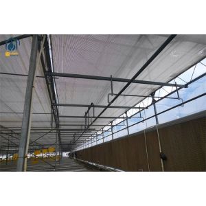 Heavy Duty Smart Cultivation Polycarbonate Greenhouse Automated Hydroponic