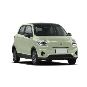 China Leapmotor T03 Automobile Electric Suv with 100km/h Max Speed and Left Steering Powered by Lithium Iron Phosphate Battery on sale