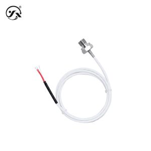 CWDZ00Y Platinum Resistance Temperature Sensor IP68 General industry Use