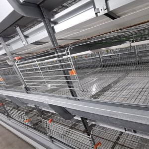 China Hot Galvanized Wire Mesh Broiler Chicken Cage H Type on sale