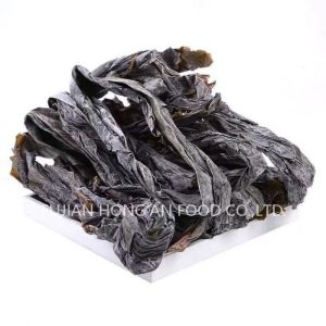 Wholesale Authentic Dried Kombu Kelp Umami Taste Compressed Kelp Salted Sprouts from china suppliers