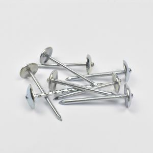 2'' Smooth/Screw Nails Galvanized Roofing Nails