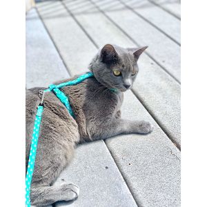 Hand Made Fabric Cat Harness Collar With Leash Set Fashion Design Easy To Wash