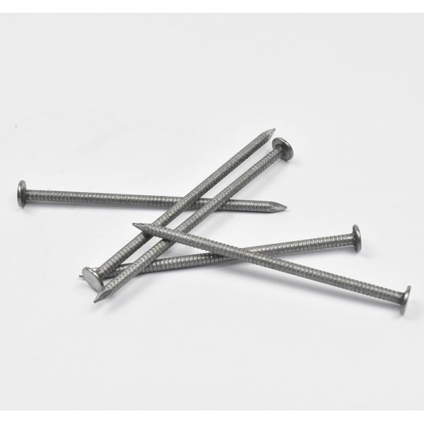 Hot Dipped Galvanized Common Nails With Ring Shank