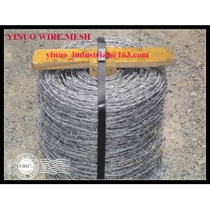 Wholesale Galvanized Barbed Wire Export to Middle East from china suppliers