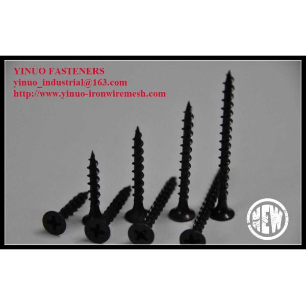 Dry wall Screw