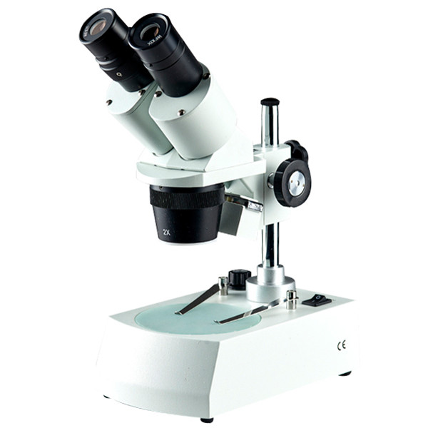 Stereo microscope dual power dissecting microscope dual manification 20X40X two
