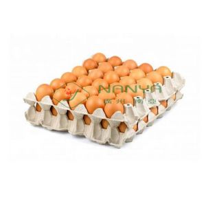 Paper Pulp Molding Automatically Medical Trays / Egg Tray Manufacturing Machine