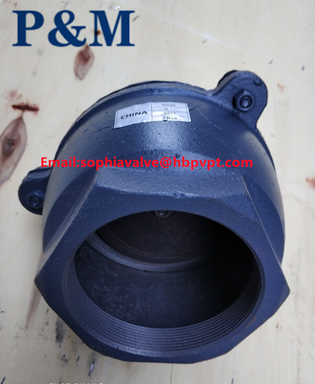 cast iron GG20 3INCH foot valve