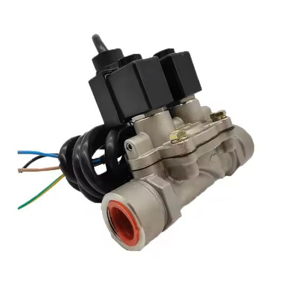 Durable Bernet Stainless Def25s Adblue Pump Urea Pump for Def Dispenser