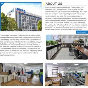 Portable Mini O2 Concentrator Flow Can Be Adjusted