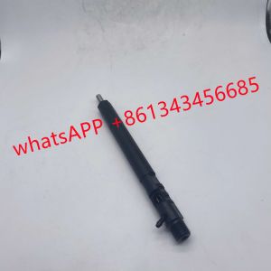 D20DT EJBR04501D Delphi Fuel Injector