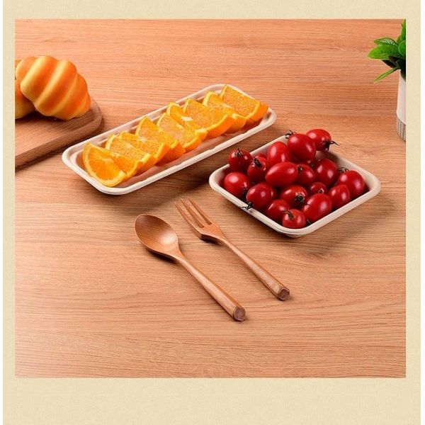 Eco Sustainable Vegetable Party Biodegradable Trays For Food Sugarcane Bagasse Pulp