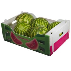 Corn Corflute Box Vegetable Corrugated Boxes Recyclable Custom Size