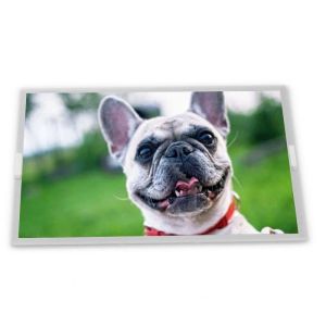 Wholesale 5.6-Inch AT056TN53 V.1 WLED TFT LCD Display Module 640*480 Resolution Specific Application for ODM Suppliers from china suppliers