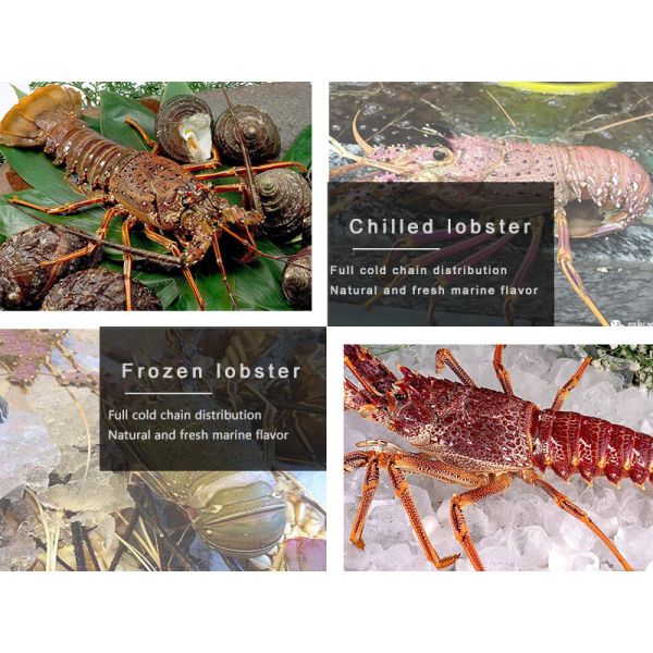 Tray Meat Machine MAP Packaging Machine Vacuum Sealing Equipment Waterproof