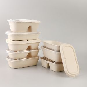 OEM Bagasse Salad Bowl Environmentally Friendly Disposable Food Containers