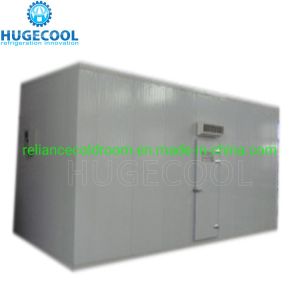 China COLDROOM17 CE Certificated Deep Freezer Room Blast Freezer for Meat Pork Fish Seafood on sale