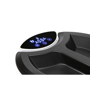 Multi - Functional Fruit And Vegetable Purifier Removing The Pesticide Residue