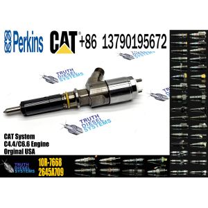 Engine Fuel Injector 2645A747 10R-7671 10R-7672 2645A718 10R-7673 10R-7676