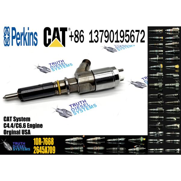 Engine Fuel Injector 2645A747 10R-7671 10R-7672 2645A718 10R-7673 10R-7676