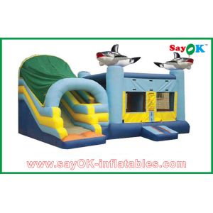 Commercial Inflatable Bounce Backyard Fun Inflatable Playground Jumpy House