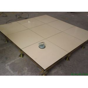 610 x 610 x 45mm Anti-pollution Anti-static Raised Computer Floors FS1250 FS1500