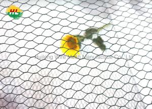 Wholesale Anti Rust Hexagonal Wire Netting 25.4mm Mesh Opening for Craft Work from china suppliers