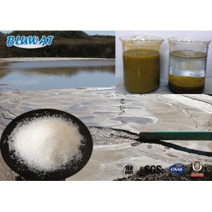 Anionic Polyelectrolyte Flocculants For Flotation Dewatering and Water Treatment