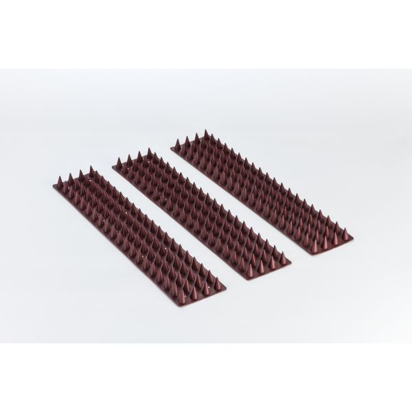 Plastic Transparent Base Stainless Bird Spikes Pest Type Birds Long-Lasting Repellent