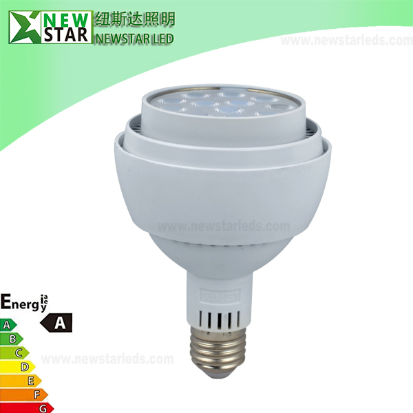 Unique 30W E27 LED PAR30 LIGHT with CE RoHs