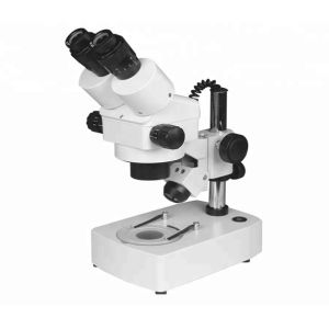Stereo Microscope