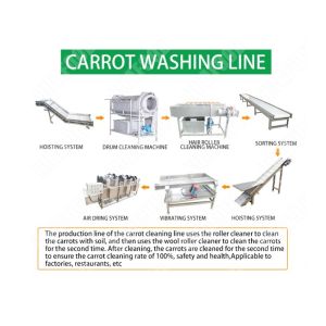 New Condition automatic preserved vegetable kimchi cutter washing processing