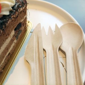 China Disposable Biodegradable Sugarcane Bagasse Cutlery on sale