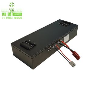 48v Lithium Ion Golf Cart Battery Pack With Bms Lifepo4 48v 100ah 150ah