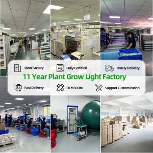 LED Grow Light 4X4 4X6FT Coverage 400W Full Spectrum LED Grow Light Panel For