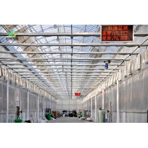 Wholesale Wet Curtain Hydroponic Seedling Greenhouse with Customization and Package Size Options from china suppliers