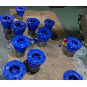 EPDM seal ductile iron flanged foot valve made in China