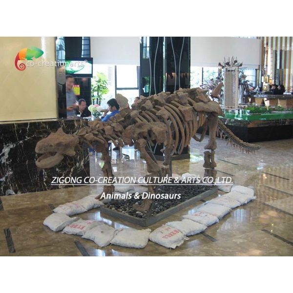 Park Decoration Dinosaur Skeleton Replica Life Size Sunproof