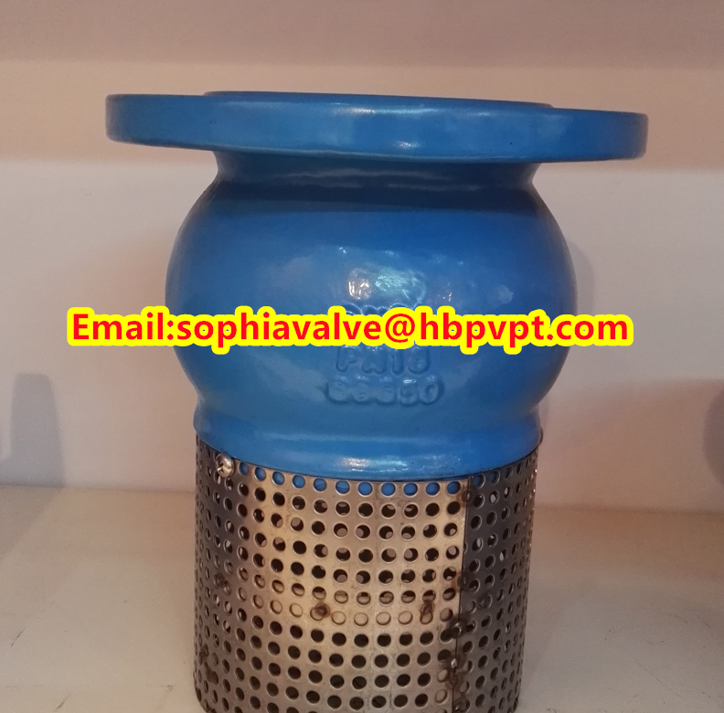 PN16 GG25 cast iron foot valve